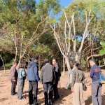 親自確認(rèn)並檢查樹種的生長狀況，看葉片茂盛程度與樹形，彷彿能預(yù)見社區(qū)未來的質(zhì)感一景。
