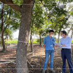 新業(yè)建設(shè) 簡福榮 總經(jīng)理(右一) 與景觀設(shè)計團(tuán)隊逐步討論，樹種與樹高，為建築尋找契合的對象。