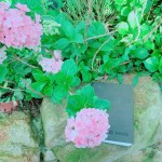 枕在石上的手札本，藏在詩(shī)中的少女情懷正等著誰(shuí)翻閱？