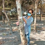 選定每棵樹木後，新業(yè)團(tuán)隊(duì)會(huì)以紅色緞帶繫上樹幹紀(jì)錄，宛如為櫸木與『築之細(xì)道』之間密不可分的「紅線」。