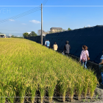有用心栽培的樹種，新業(yè)便踏著腳步前往尋蹤，期望樹木與建築能自然地融合，
模糊與天地大美的界線。