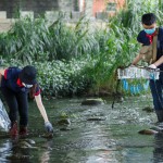 河中的前三名殺手──菸蒂、破碎塑膠袋、瓶蓋吸管，易被小魚小蝦或青蛙誤食。