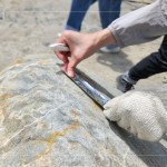 以鋁箔膠帶為記，牽起與新業(yè)的緣分，等待時機，即將坐落臺中『大塊森濤』社區(qū)，延續(xù)自然與人文的美好記憶。