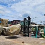 將挑選的石頭放上貨車，移至工廠用強力水柱清洗身體後，選個良辰吉時再入新厝，期待那天的到來。