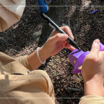 在綁樹帶寫上樹種及編號，每一顆樹都有了印記，都是經(jīng)由新業(yè)職人團(tuán)隊的專業(yè)見解，及審慎評估後決定出的結(jié)果。我們相信：「不只是我們選樹，樹也在選擇一個值得託付終身的對象」。