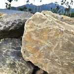 今年盛夏之際，新業(yè)團隊前往南投國姓鄉(xiāng)，為2025年即將落成的『大塊森濤』，挑選庭園造景的原石。