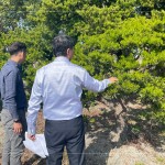 羅漢松為東亞地區(qū)常見的常綠樹木，樹枝柔韌且抗風(fēng)性強(qiáng)，更有象徵幸福安康、健康富貴之意，可謂是造景設(shè)計的首選。