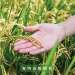 逾11載的『新業(yè)一畝田』－看見(jiàn)霧峰小農(nóng)對(duì)於自然農(nóng)法無(wú)農(nóng)藥、無(wú)化肥的堅(jiān)持，守護(hù)這份對(duì)土地的溫柔心意，堅(jiān)持契作認(rèn)養(yǎng)，已成為我們的自然，不虧待這樣的純粹及美好，固定贈(zèng)予所有新業(yè)的住戶，讓善的念想在這片大地一直傳遞下去。