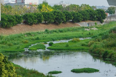 新業(yè)愛地球｜淨(jìng)一條溪，流傳一份美好心意