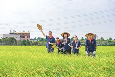 新業(yè)一畝田｜走過11年，心像一畝田