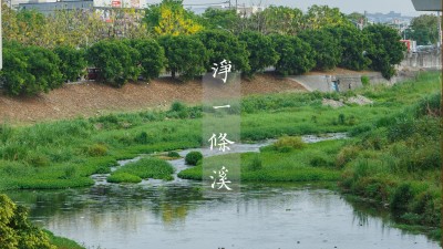 與自然共好｜一步一腳印，守護(hù)淨(jìng)土友善