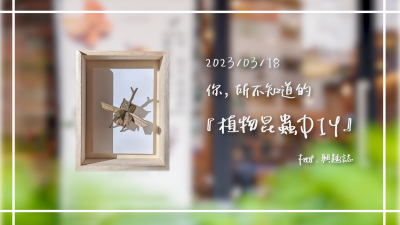 生活習(xí)作 × 你．所不知道的 - 植物昆蟲DIY